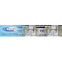 QEF Global Ltd
