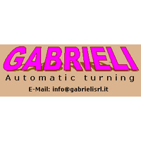 GABRIELI, Srl (Torneria Automatica)