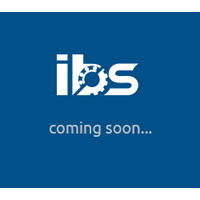 I.B.S. GmbH